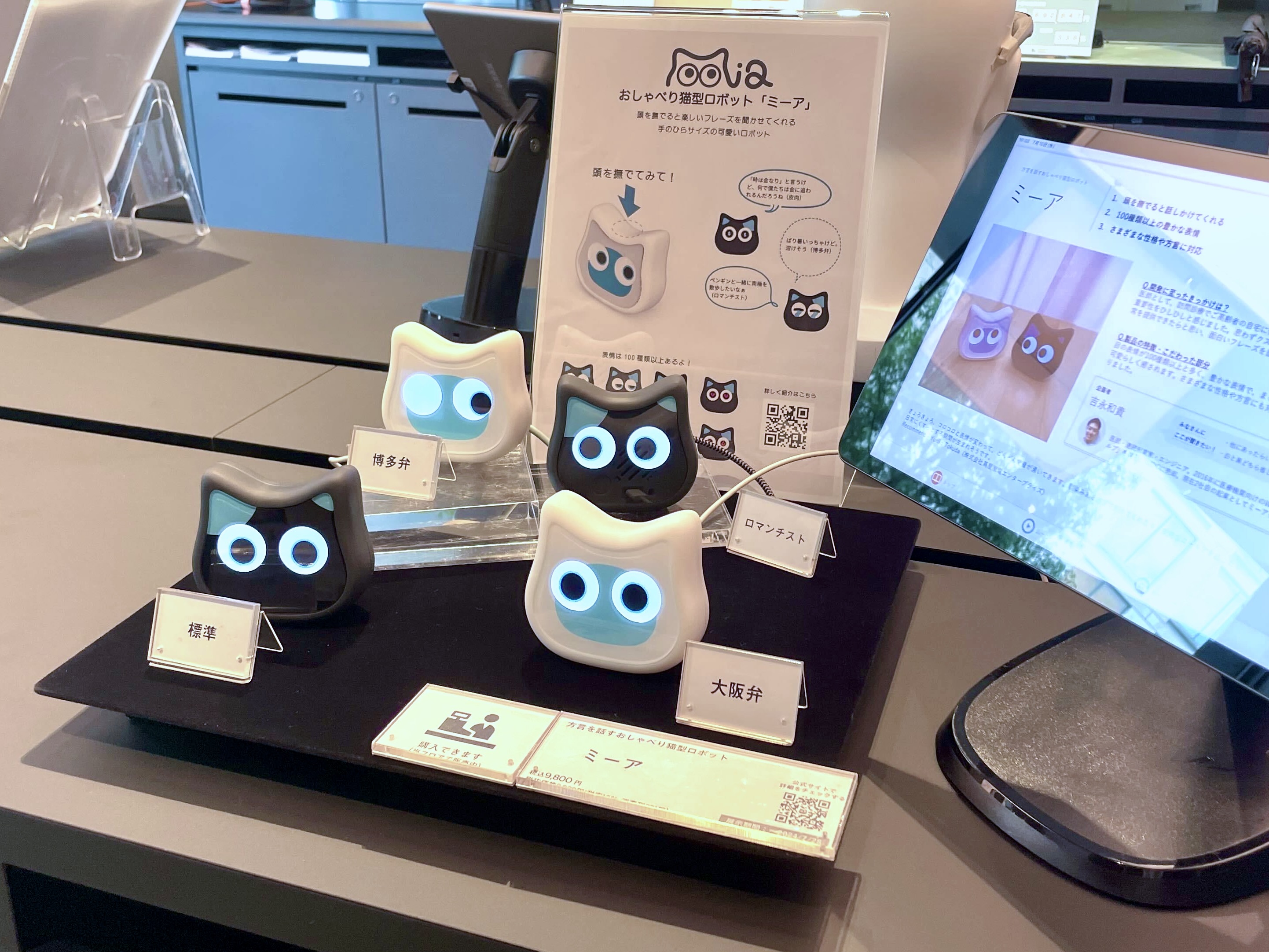 「蔦屋家電＋」ミーアの展示期間を延長しました！