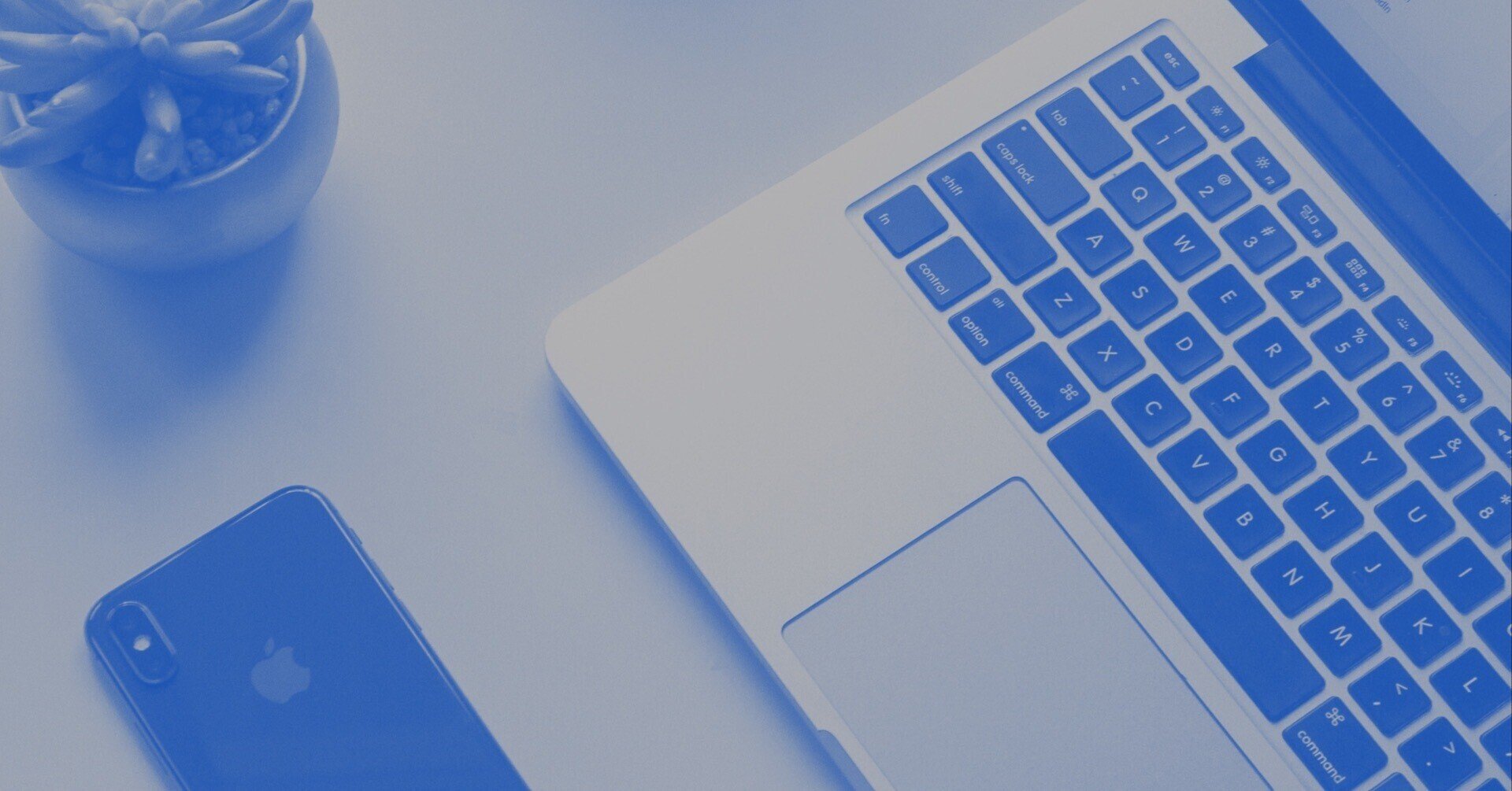 起業時の会社の種類について